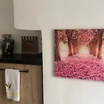Sakura Via Napione